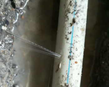 澄迈卫生间测漏水多少钱